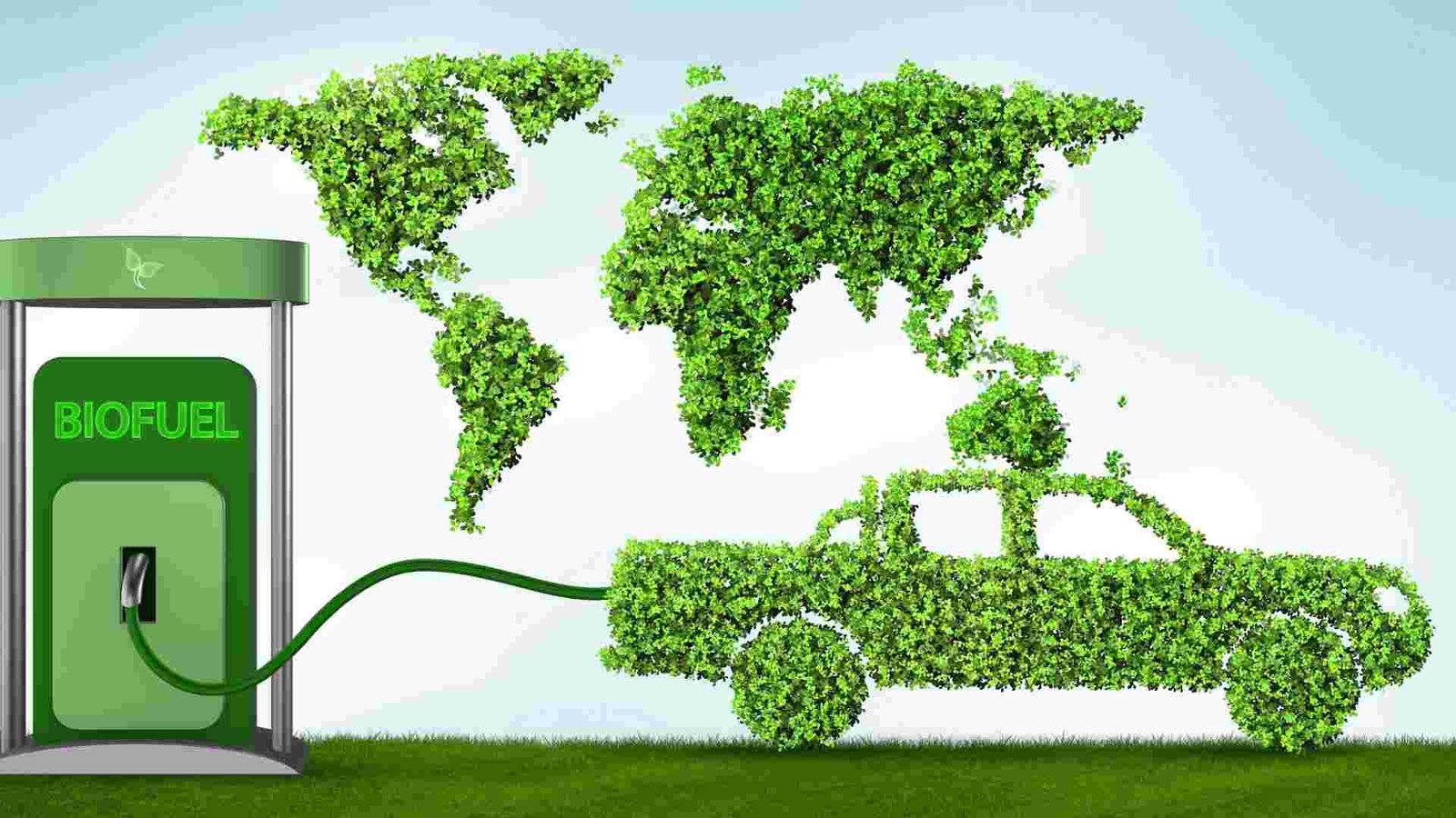 Biofuel Energy in India: An Overview of Present & Future Prospects ...
